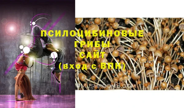 jwh Магас