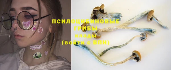 трава Кукмор